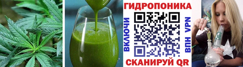 Canna-Cookies конопля  Купить  Мураши 
